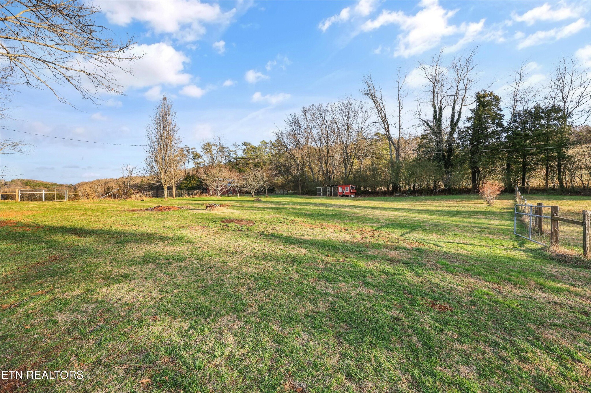 7969 Glendale Community Road Greenback, TN 37742 - Photo 5 of 56 a view of a tall building with a big yard