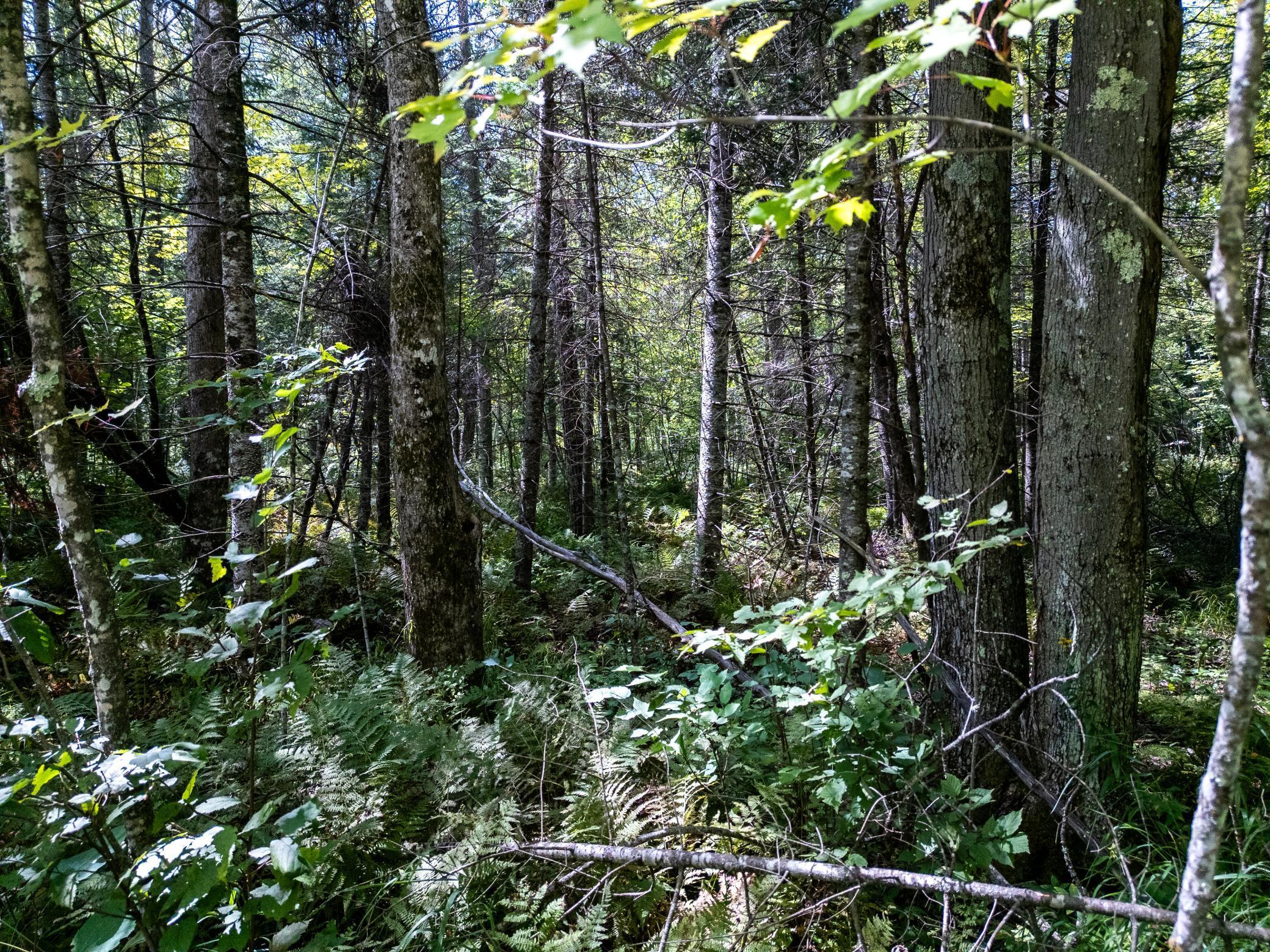 48029 110th Place Tamarack, MN 55787 - Photo 16 of 20