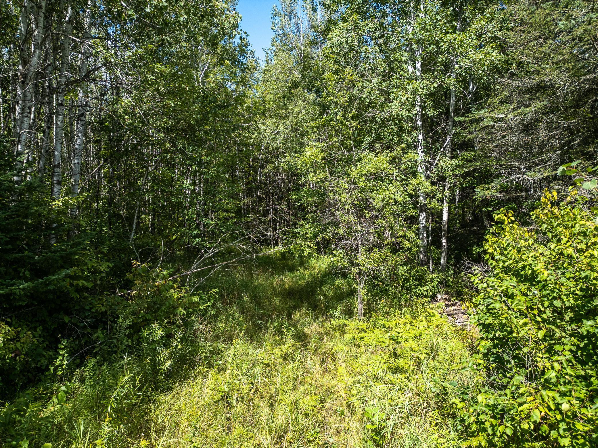 48029 110th Place Tamarack, MN 55787 - Photo 17 of 20