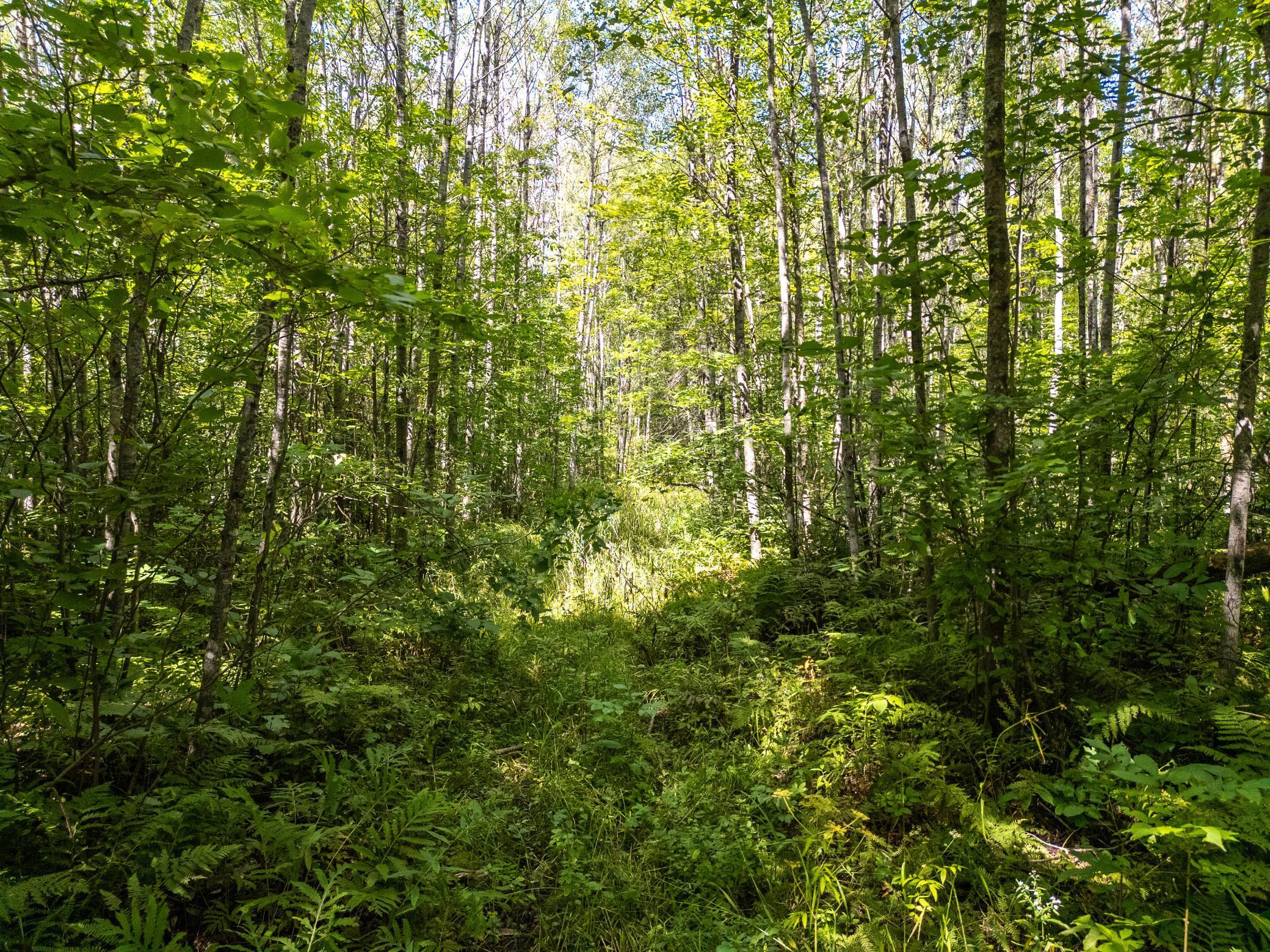 48029 110th Place Tamarack, MN 55787 - Photo 18 of 20