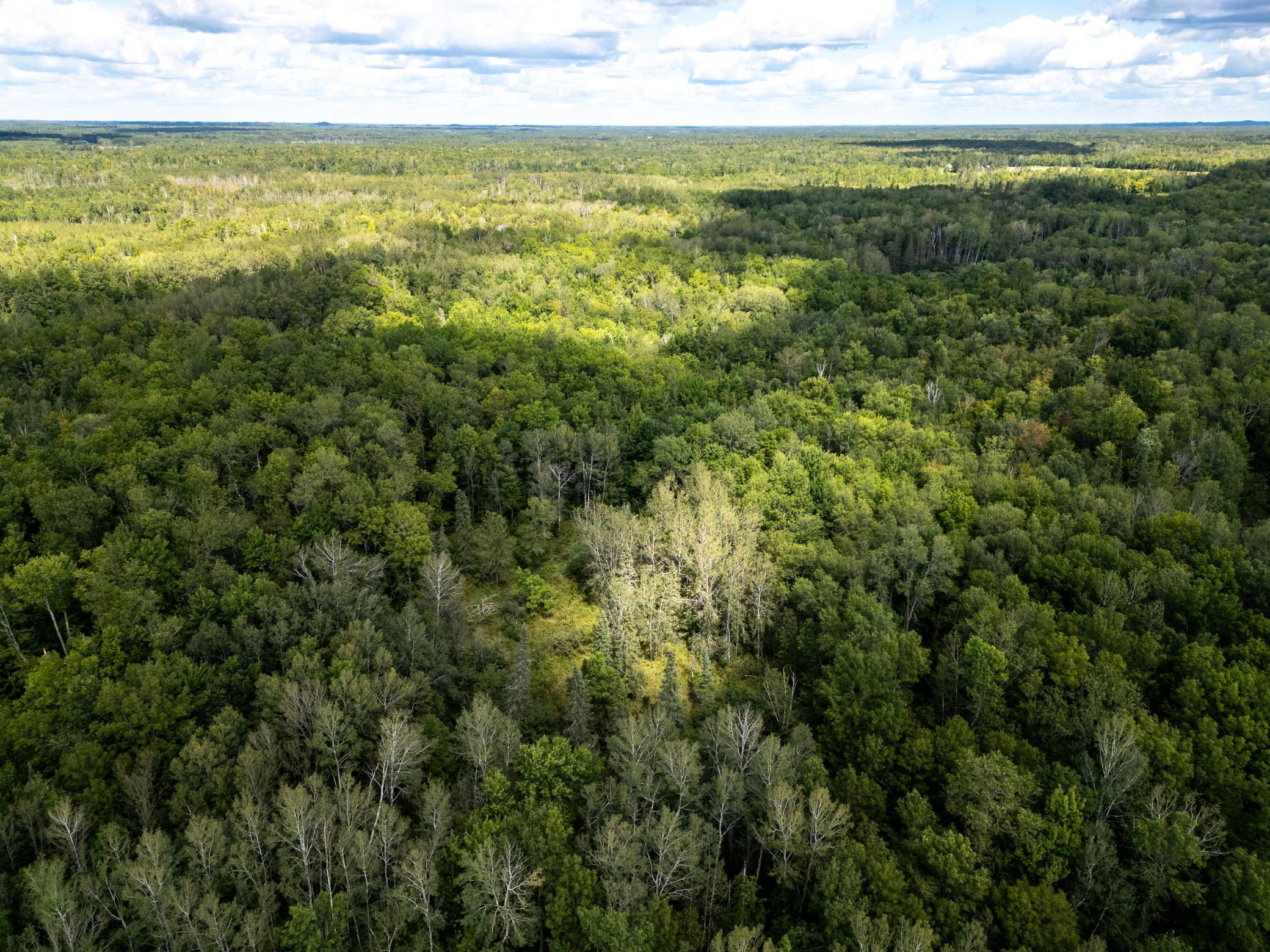 48029 110th Place Tamarack, MN 55787 - Photo 19 of 20