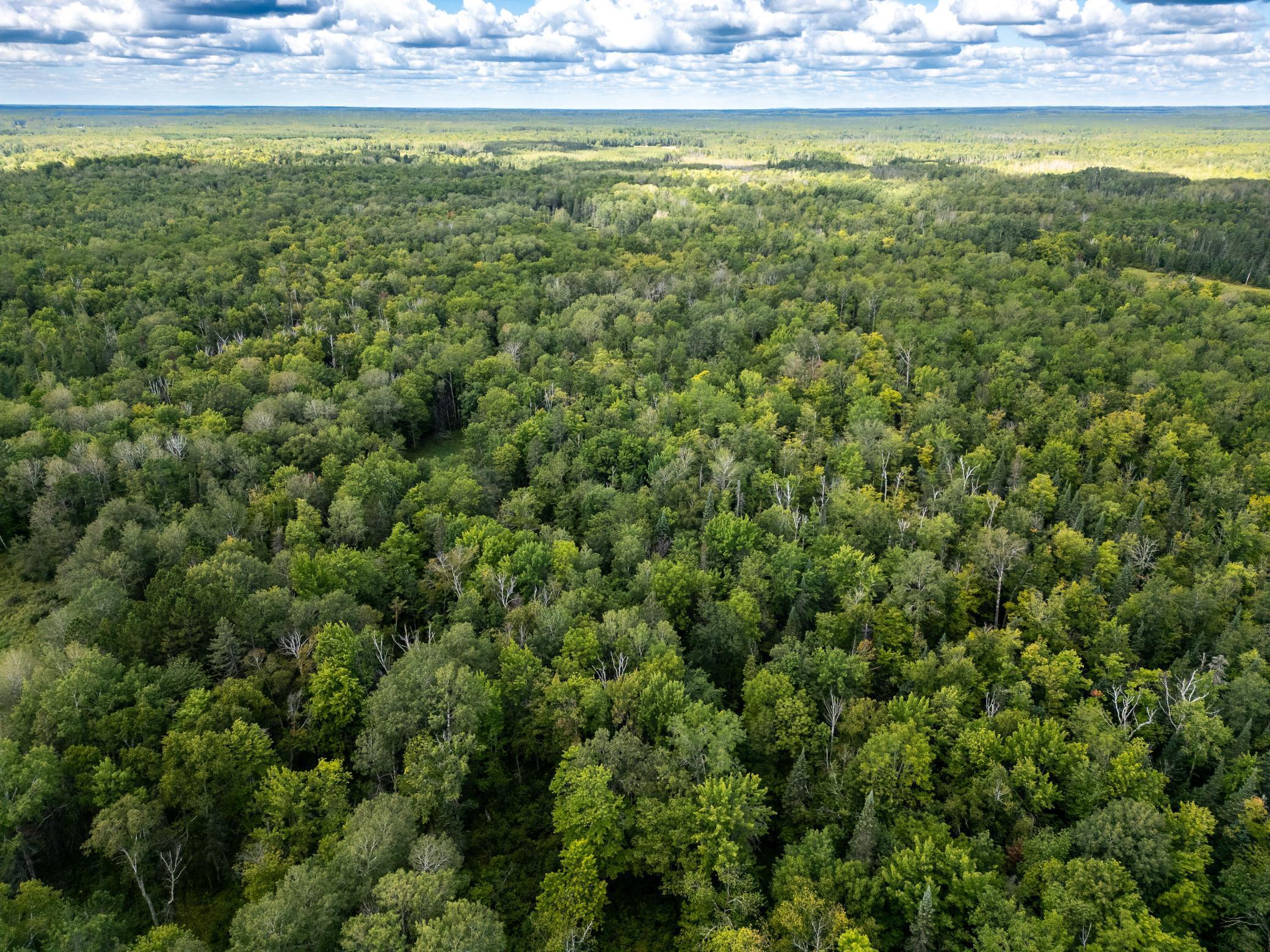 48029 110th Place Tamarack, MN 55787 - Photo 2 of 20