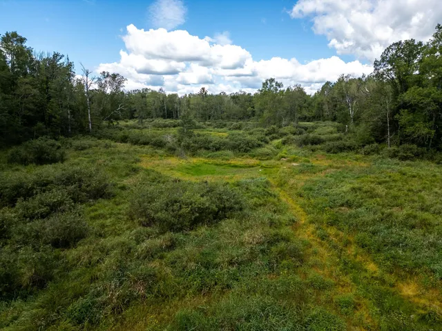 $1,090,000 | 48029 110th Place, Tamarack, MN 55787