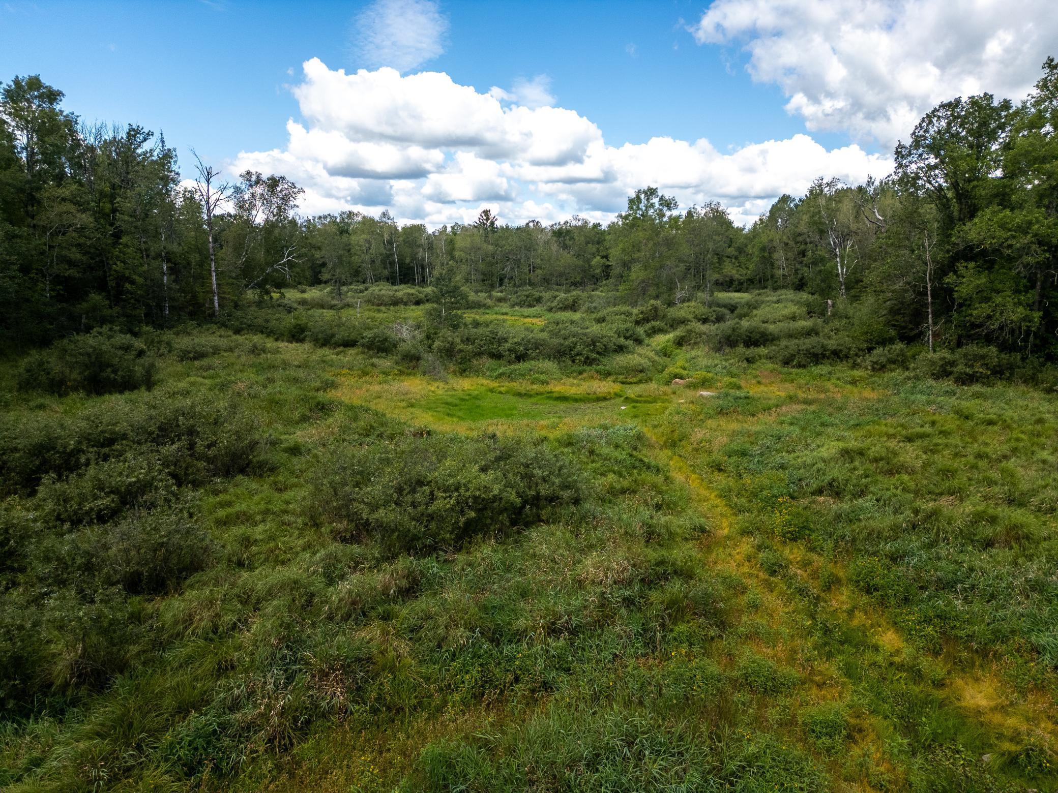 48029 110th Place Tamarack, MN 55787 - Photo 3 of 20