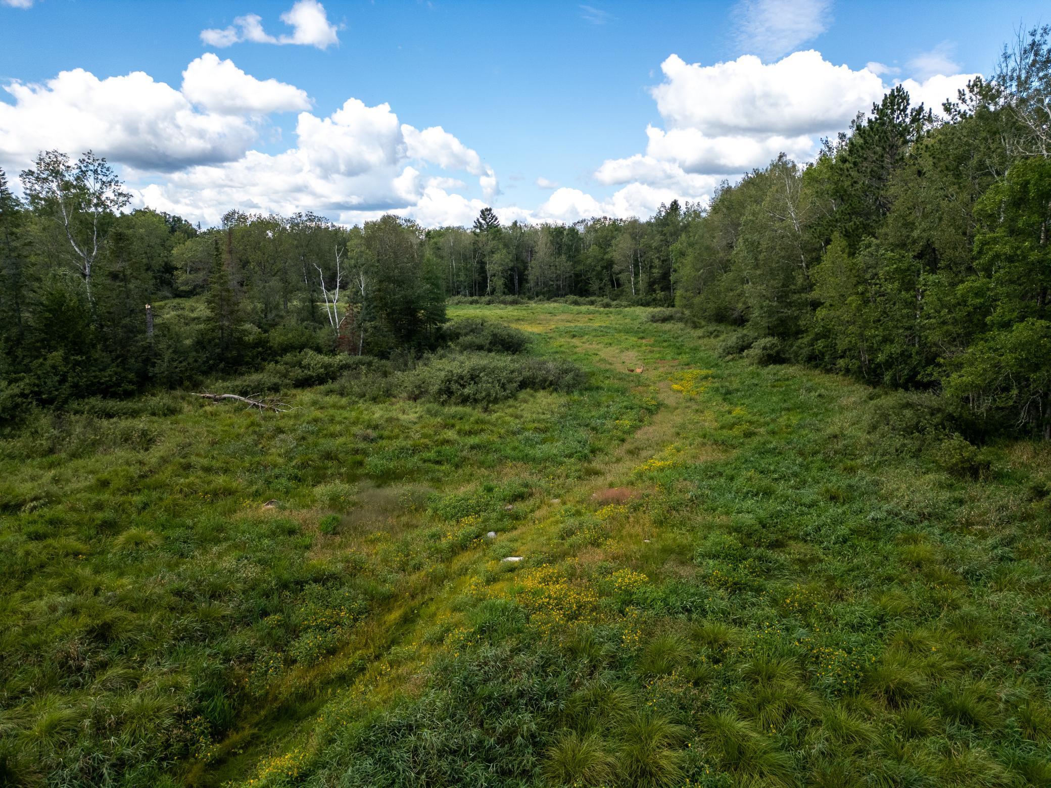 48029 110th Place Tamarack, MN 55787 - Photo 4 of 20