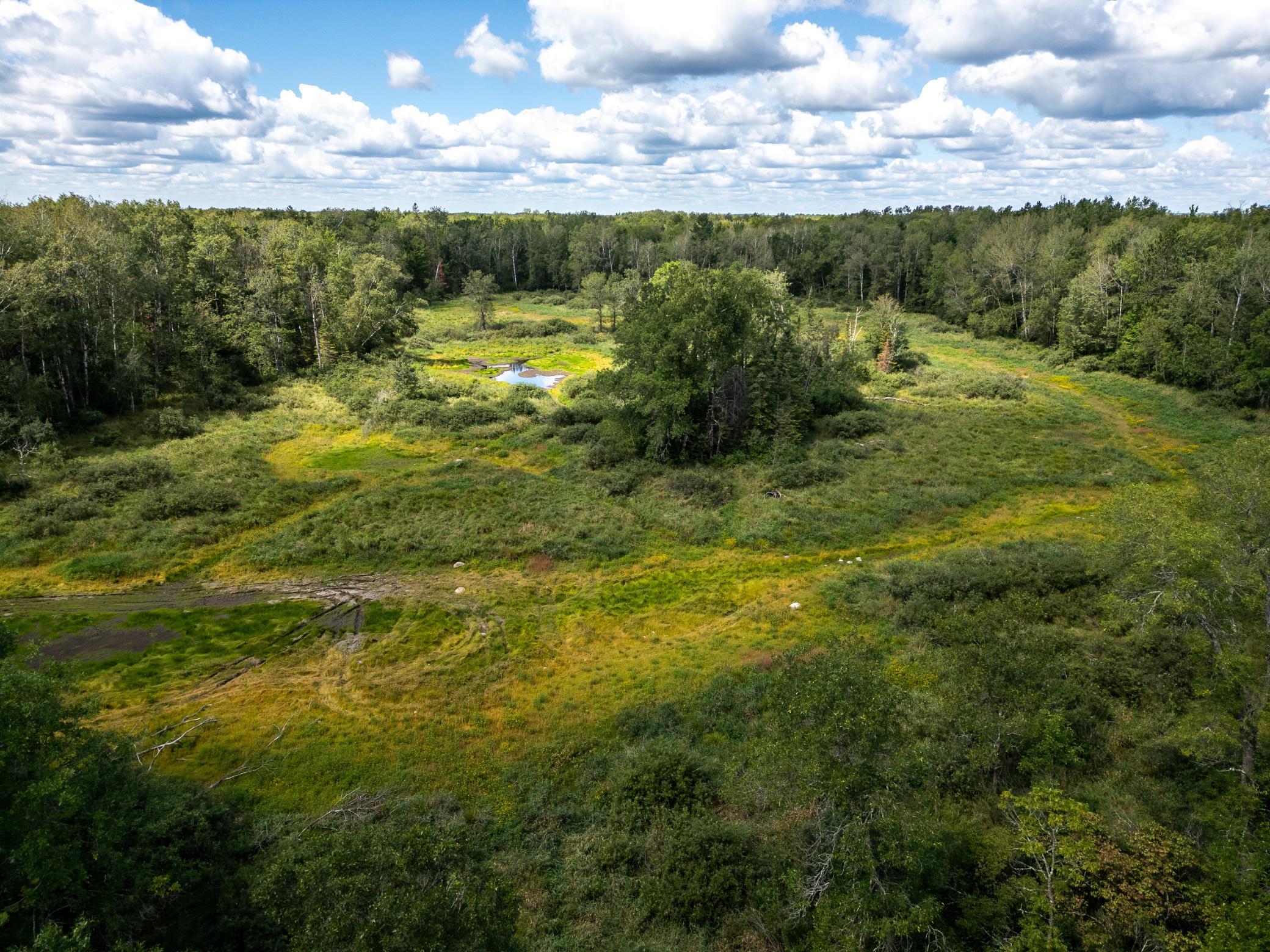 48029 110th Place Tamarack, MN 55787 - Photo 6 of 20