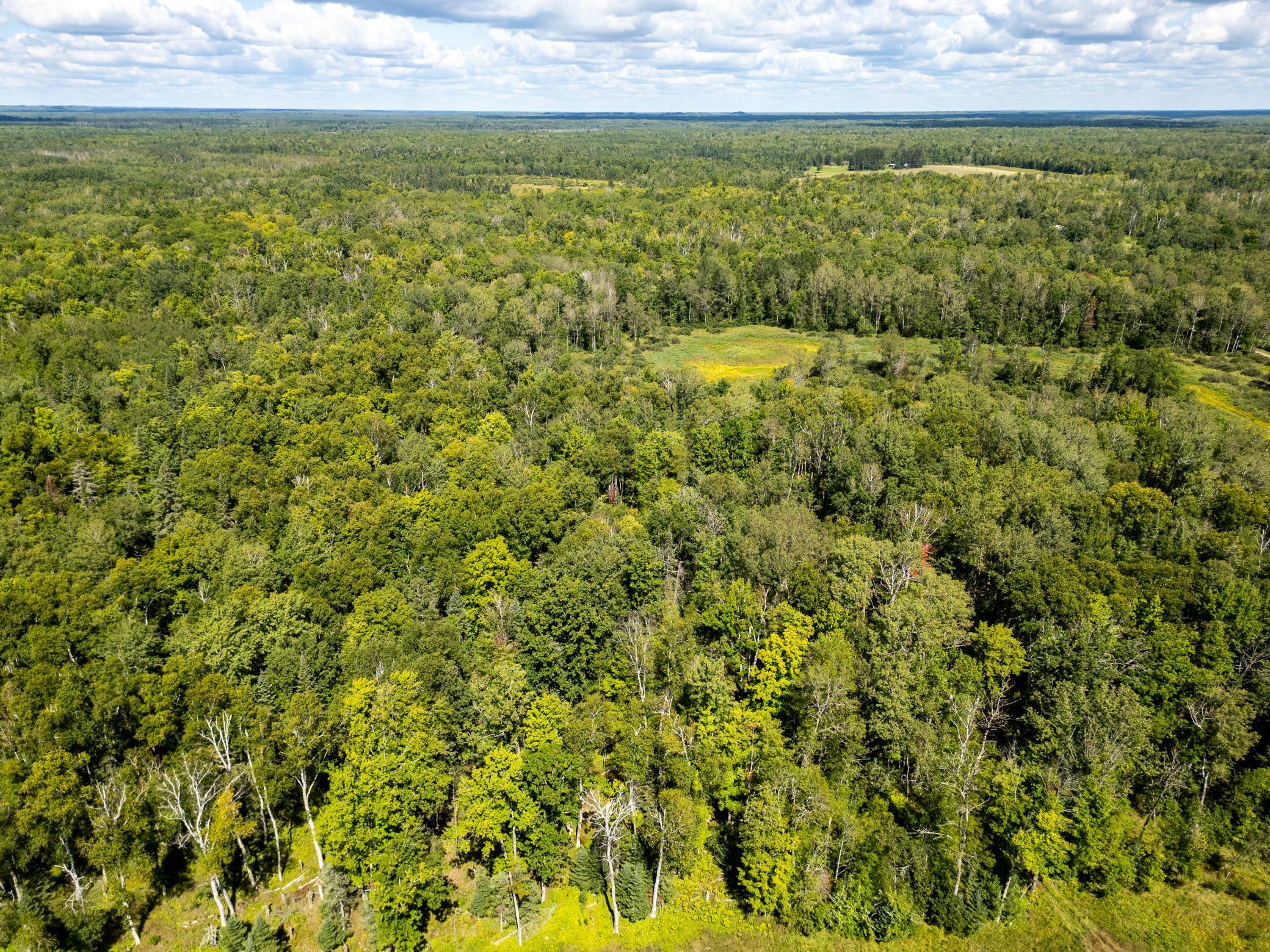 48029 110th Place Tamarack, MN 55787 - Photo 7 of 20