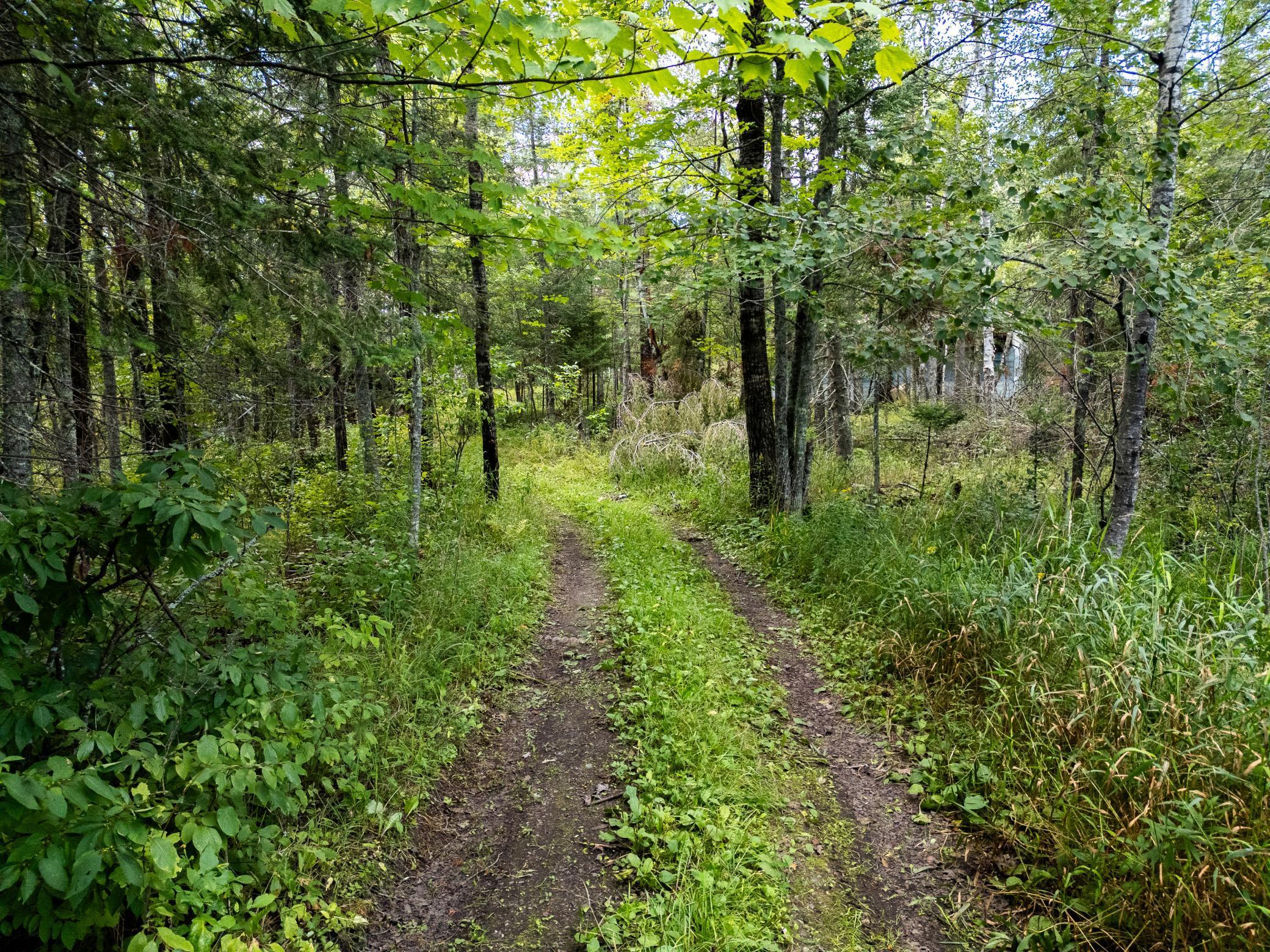 48029 110th Place Tamarack, MN 55787 - Photo 10 of 20