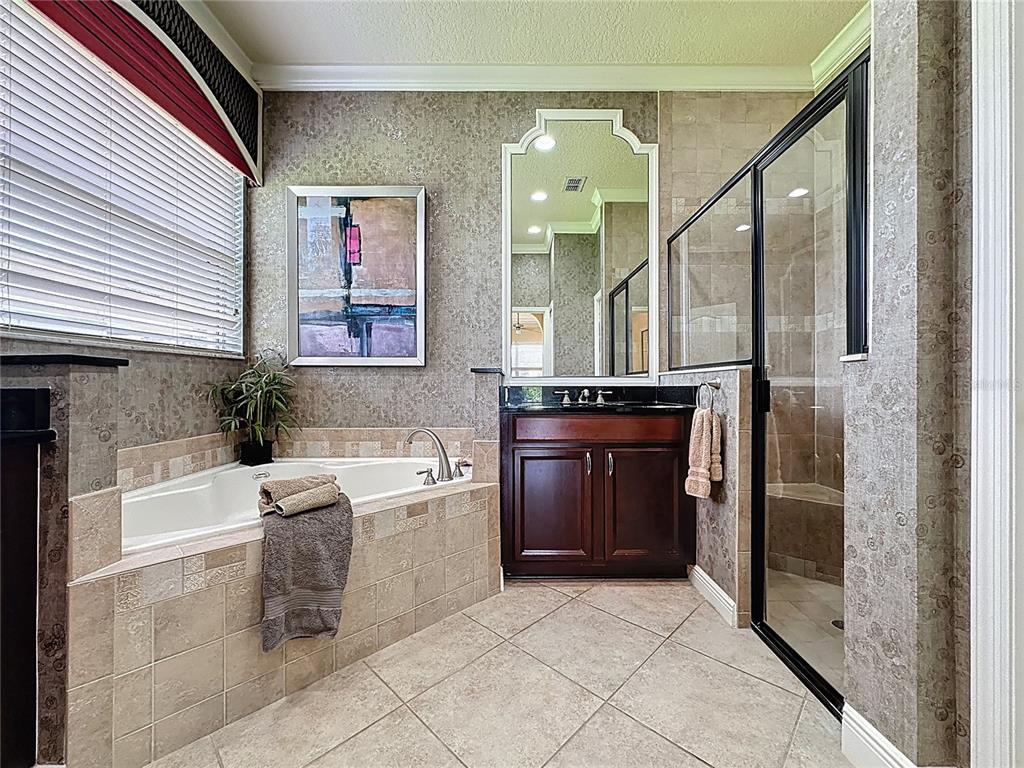243 Bayou Bend Road Groveland, FL 34736 - Photo 27 of 77 a bathroom with a granite countertop sink a toilet and bathtub