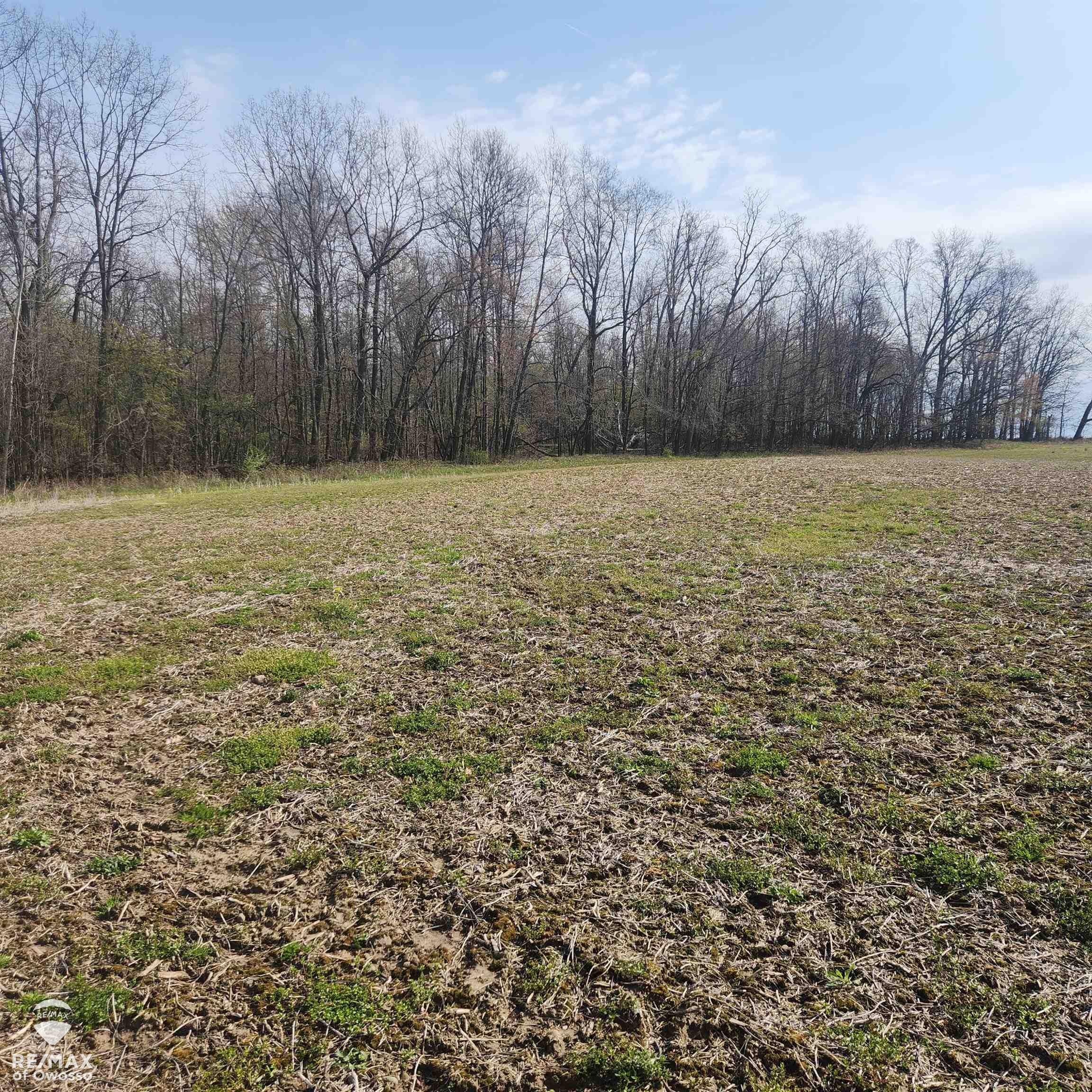 0 Rolston Road Gaines, MI 48436 - Photo 11 of 12