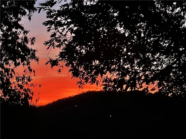 $190,000 | 448 Notch Lane, Unit 3, Reeds Spring, MO 65737