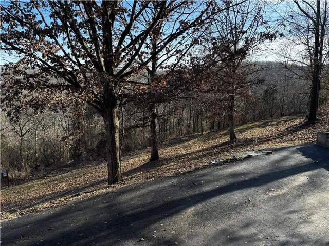 $190,000 | 448 Notch Lane, Unit 3, Reeds Spring, MO 65737