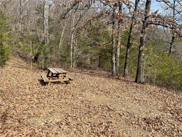 $190,000 | 448 Notch Lane, Unit 3, Reeds Spring, MO 65737