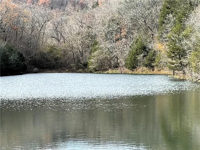 $190,000 | 448 Notch Lane, Unit 3, Reeds Spring, MO 65737