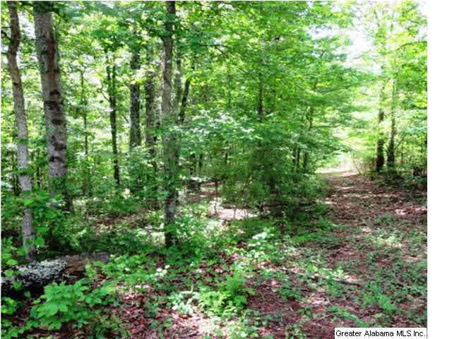980 Turkey Pen Road, Unit 42 AC Cragford, AL 36255 - Photo 1 of 1