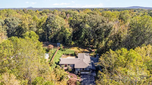 a view of a with large trees