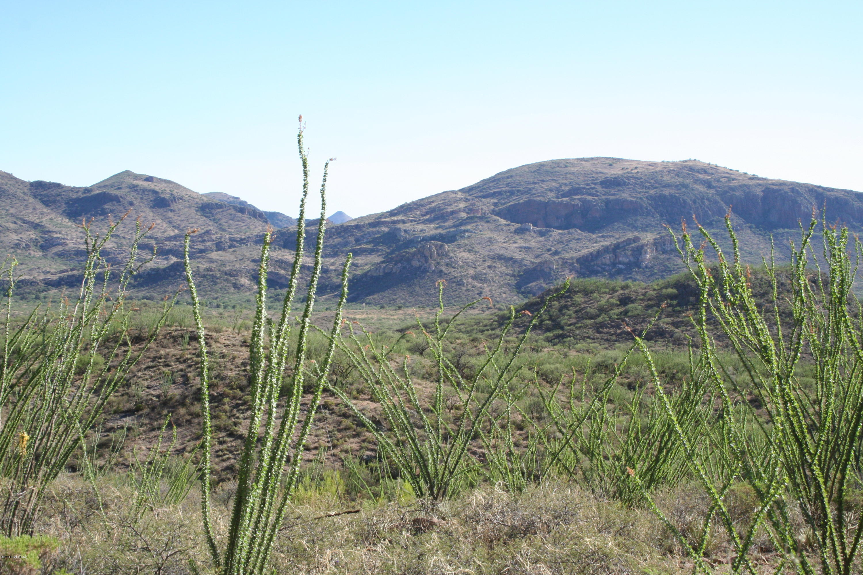37 Copper Canyon Road, Unit 140 Rio Rico, AZ 85648 - Photo 10 of 17 IMG_9455