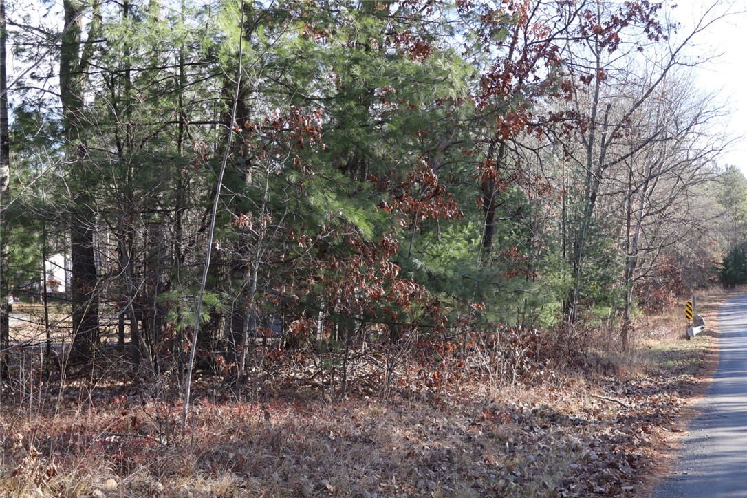 N8724 Lakeside Road Willard, WI 54493 - Photo 16 of 20