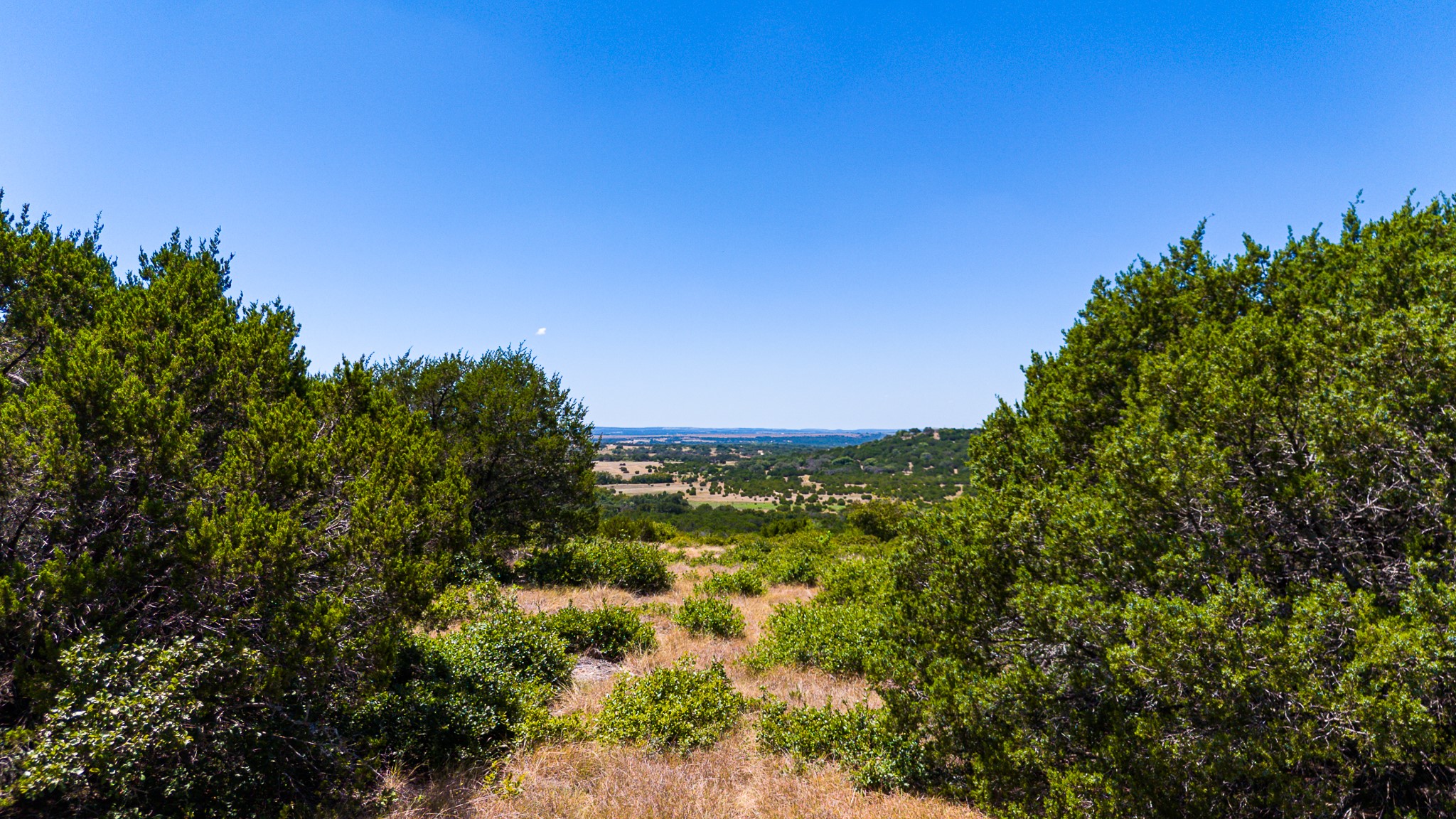 Lot 64 Blakley Road Gatesville, TX 76528 - Photo 27 of 38 Gallery Image 27