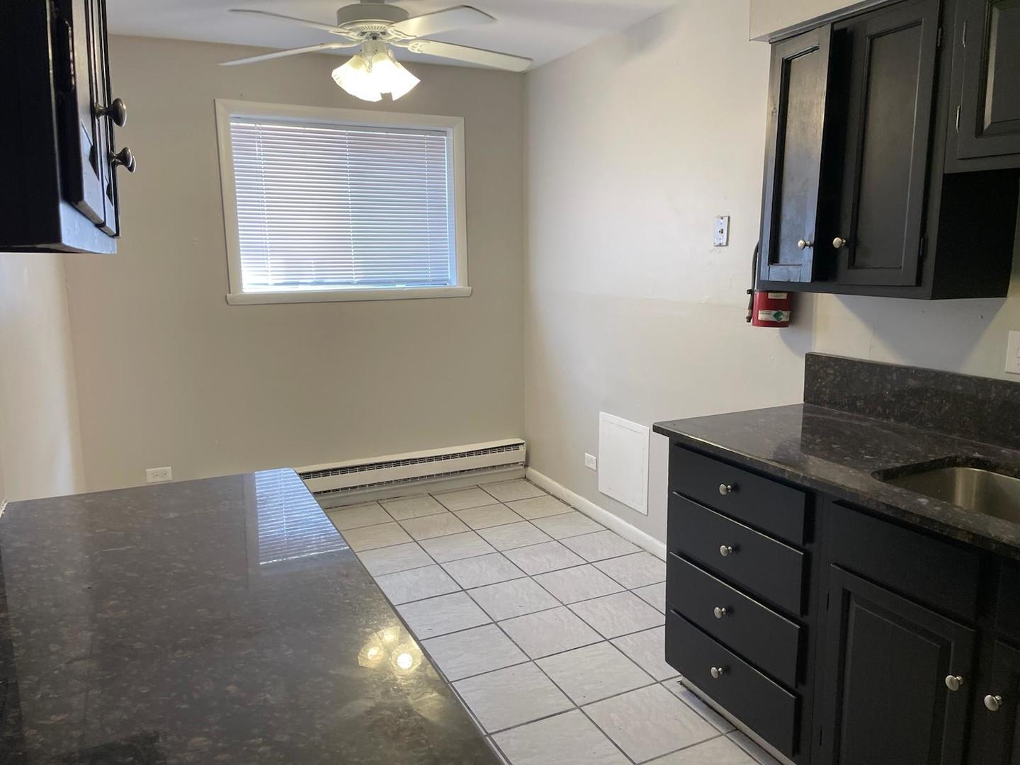 1751 Felten Road, Unit 1 Aurora, IL 60505 - Photo 6 of 19 a kitchen with a sink and cabinets