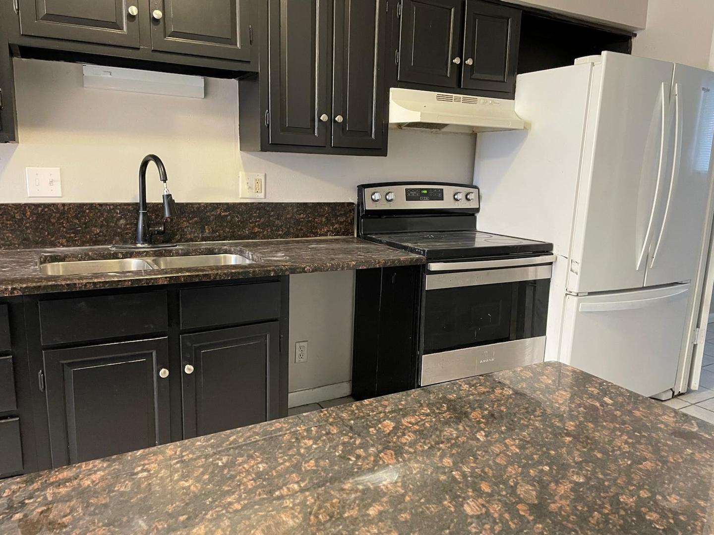 1751 Felten Road, Unit 1 Aurora, IL 60505 - Photo 7 of 19 a kitchen with a sink and a refrigerator