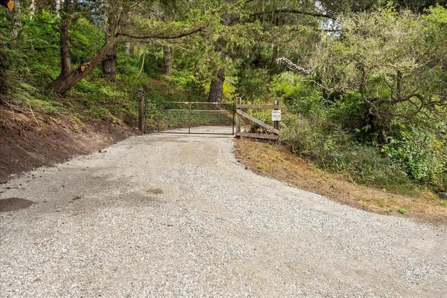 a view of a plants with pathway