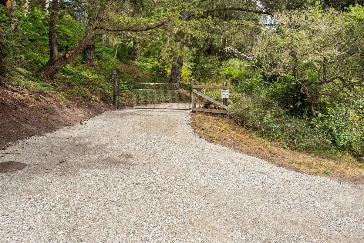 0 Stage Road San Gregorio, CA 94074 - Photo 11 of 48 a view of a yard with plants and trees