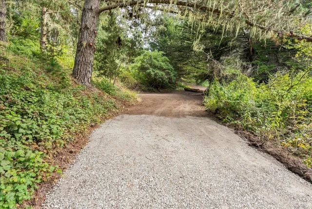 a view of a back yard of the house