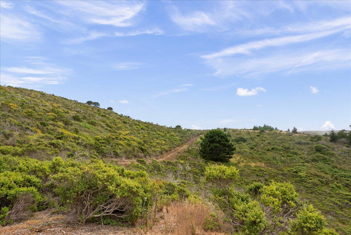 0 Stage Road San Gregorio, CA 94074 - Photo 15 of 48 a view of a bunch of mountains in the background