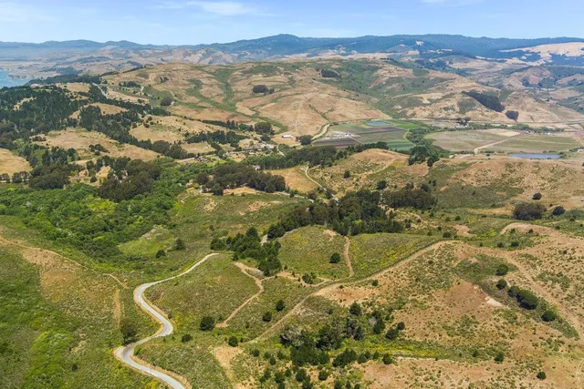 a view of a backyard with plants