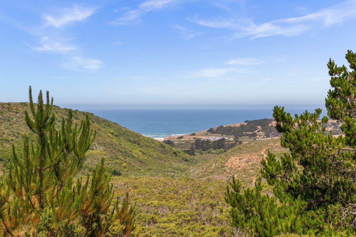 0 Stage Road San Gregorio, CA 94074 - Photo 19 of 48 a view of a field with an ocean in the background