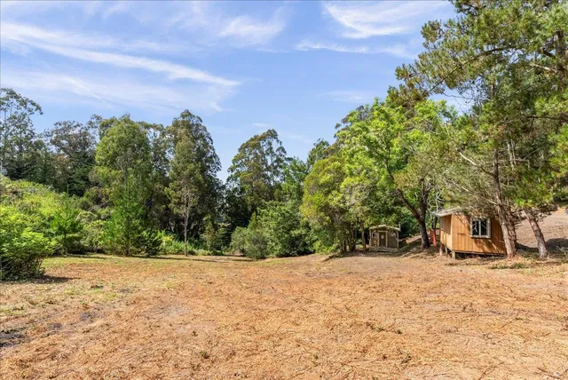 a view of a dry yard with green space