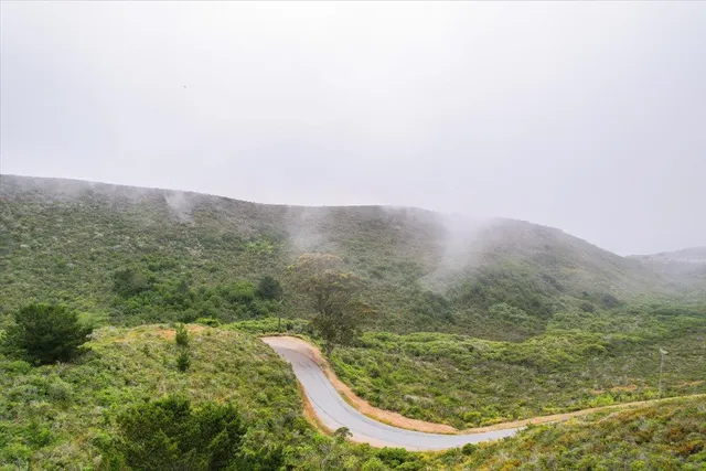 a view of a yard with wooden fence