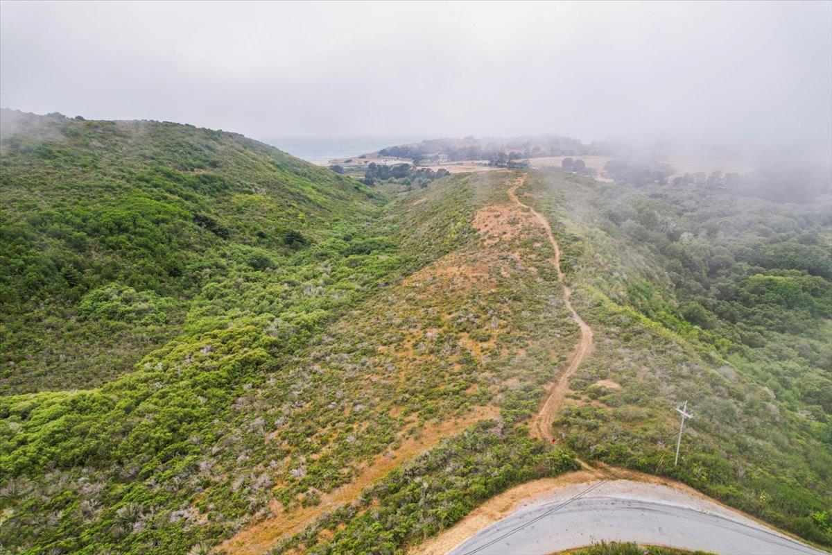 0 Stage Road San Gregorio, CA 94074 - Photo 24 of 48 a view of a yard