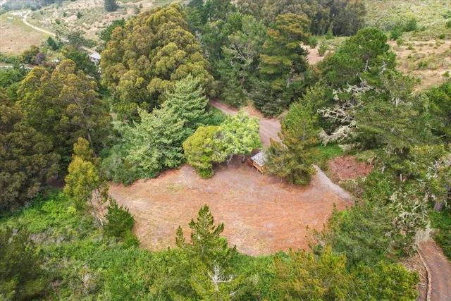 an aerial view of houses covered in trees