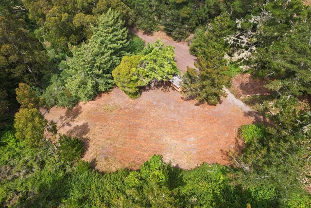 a view of a forest with an outdoor space