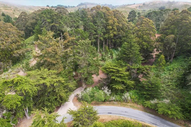 a view of a yard with wooden fence