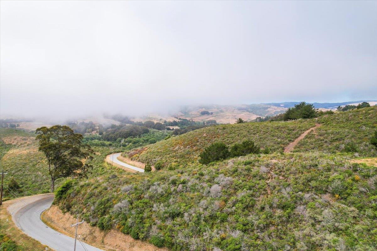 0 Stage Road San Gregorio, CA 94074 - Photo 33 of 48 a view of a bunch of trees and bushes