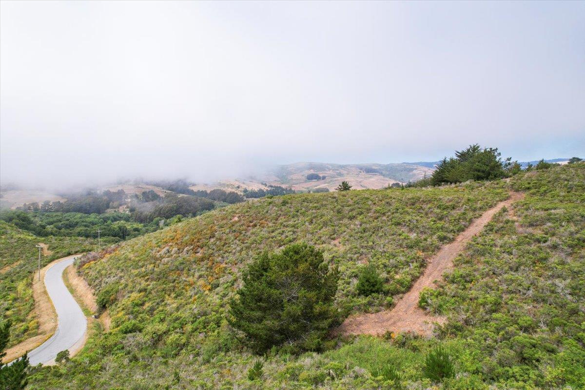 0 Stage Road San Gregorio, CA 94074 - Photo 34 of 48 a view of a yard with wooden fence