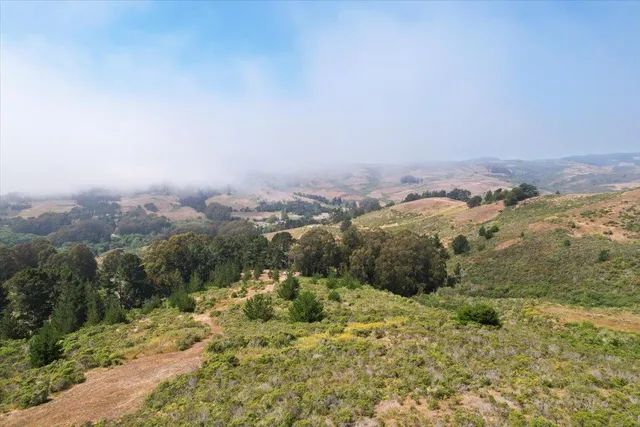 an aerial view of residential houses with outdoor space and trees