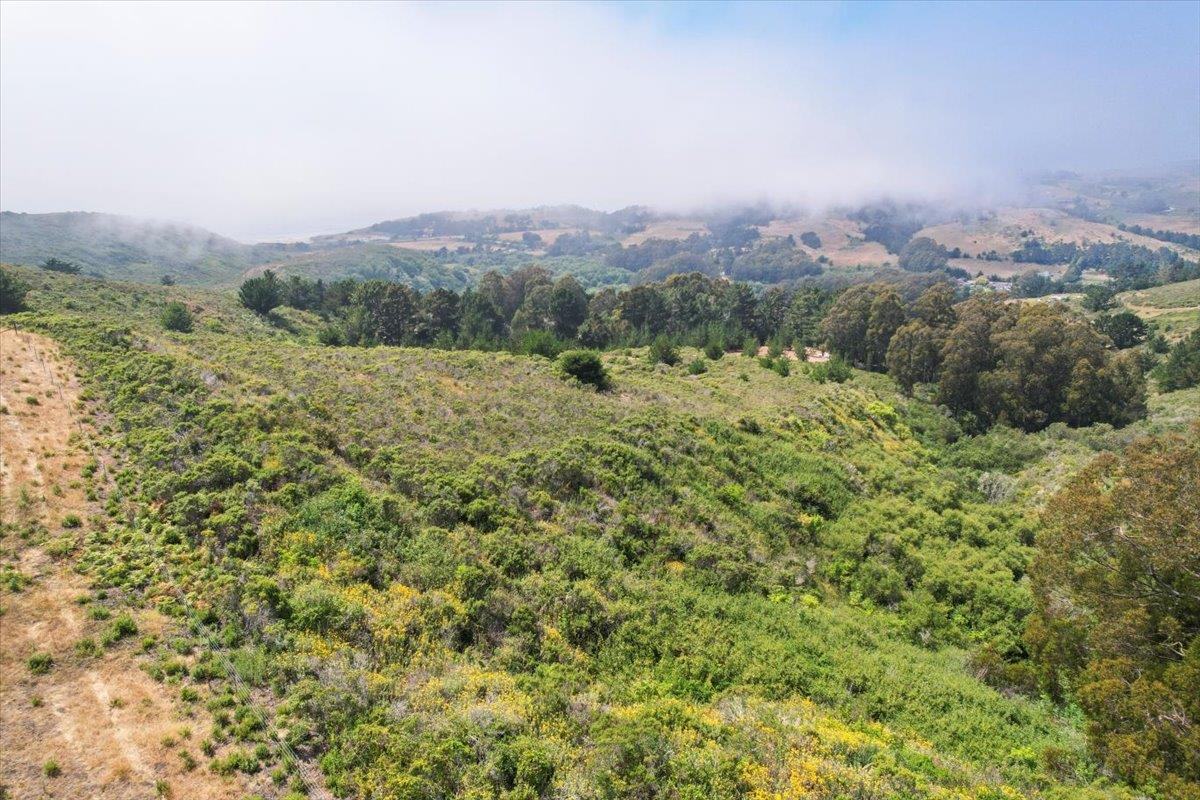0 Stage Road San Gregorio, CA 94074 - Photo 36 of 48 a view of a lush green field with mountains in the background