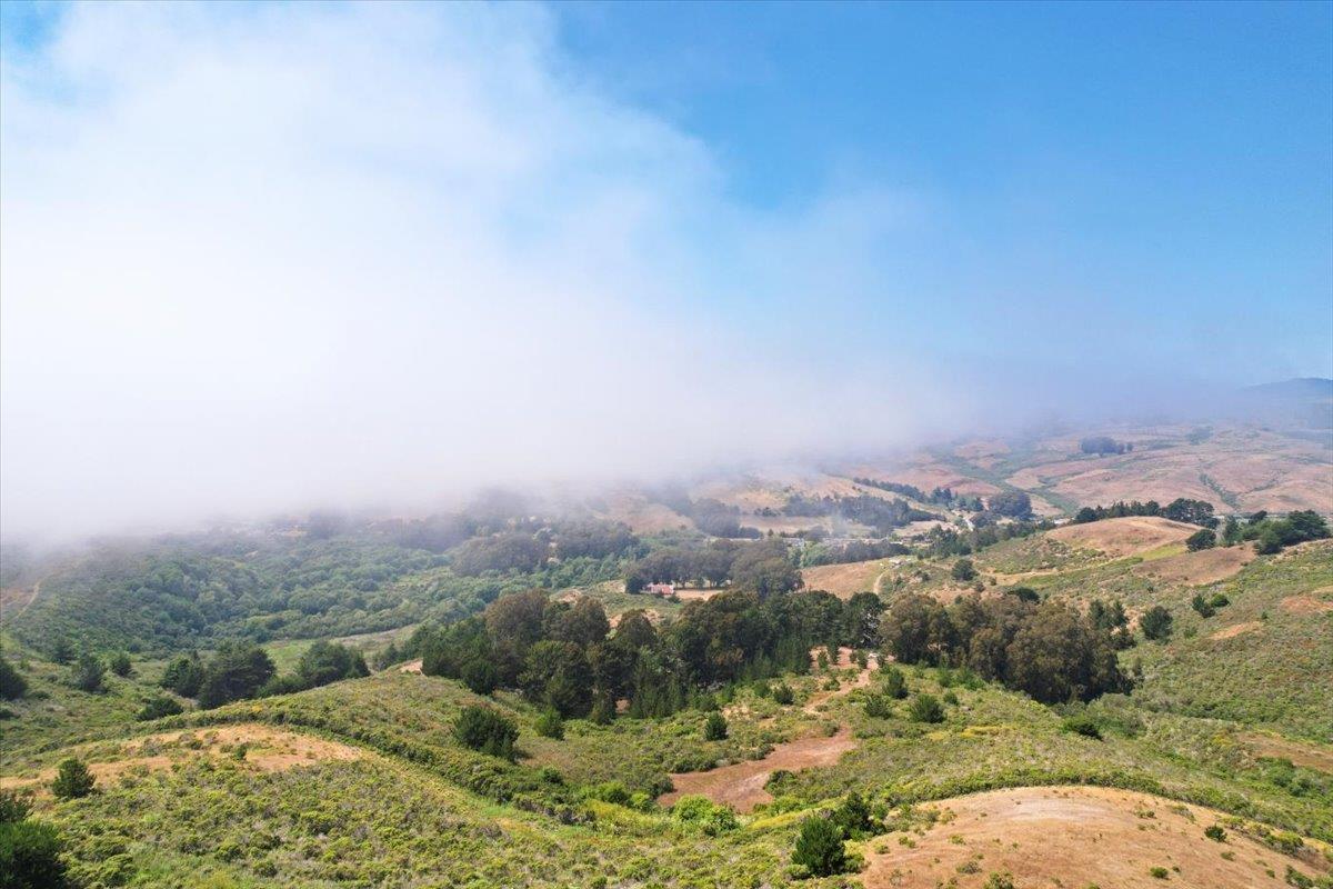 0 Stage Road San Gregorio, CA 94074 - Photo 37 of 48 an aerial view of residential houses with outdoor space and trees