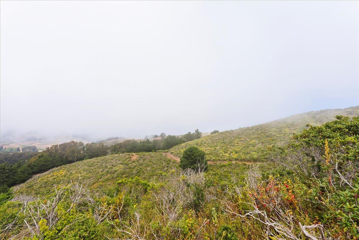 0 Stage Road San Gregorio, CA 94074 - Photo 40 of 48 a view of a field with an ocean