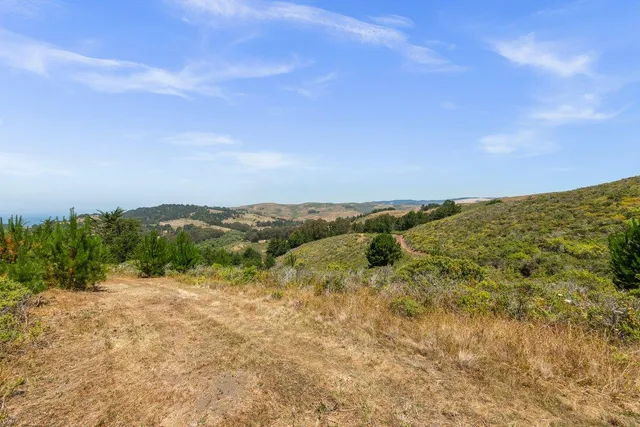 a view of a back yard of the house