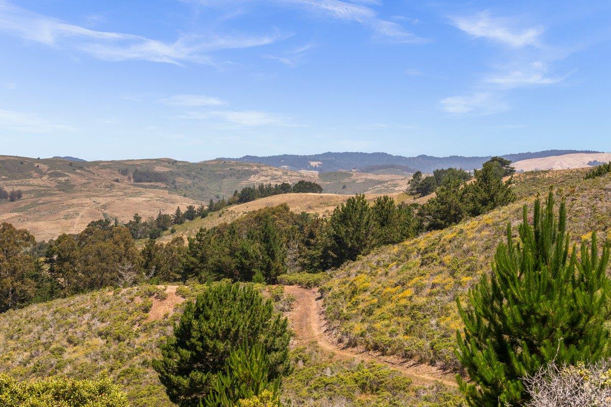 0 Stage Road San Gregorio, CA 94074 - Photo 47 of 48 a view of mountains and mountain