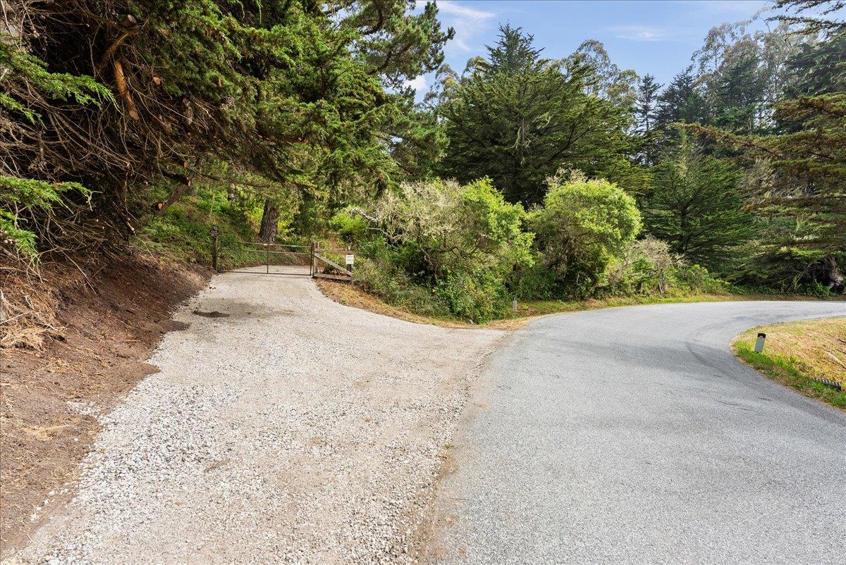 0 Stage Road San Gregorio, CA 94074 - Photo 10 of 48 a view of a yard with plants