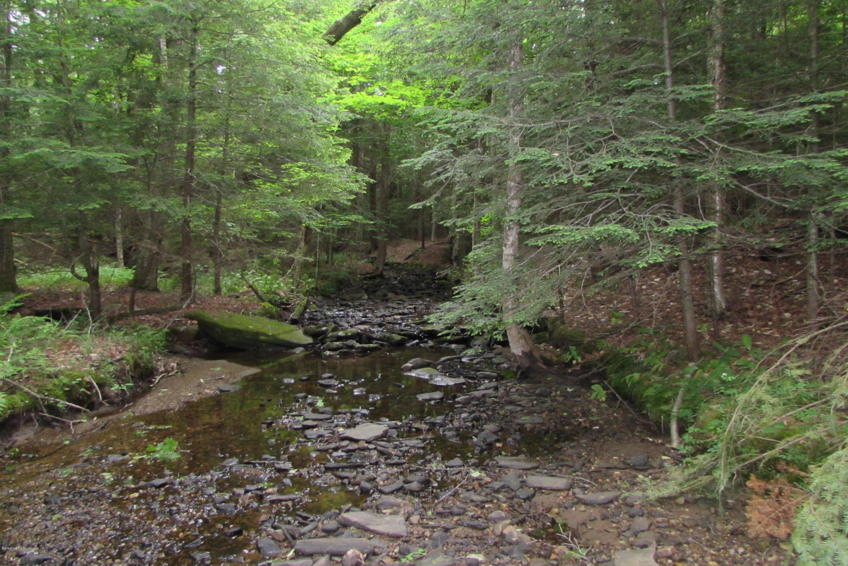 Washington Mountain Road Becket, MA 01223 - Photo 12 of 13 a view of a forest with trees