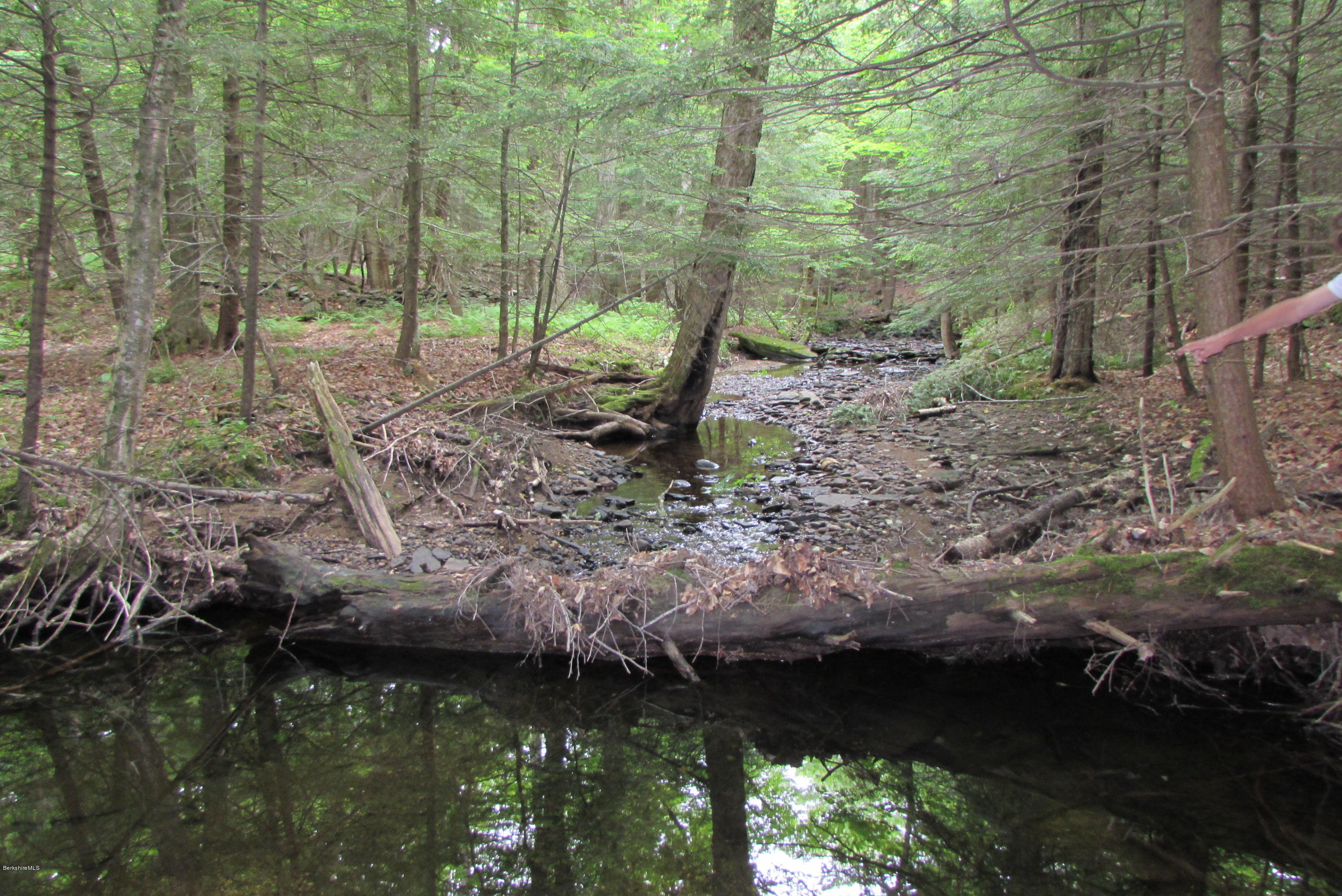 Washington Mountain Road Becket, MA 01223 - Photo 6 of 13 a view of water covered with tall trees