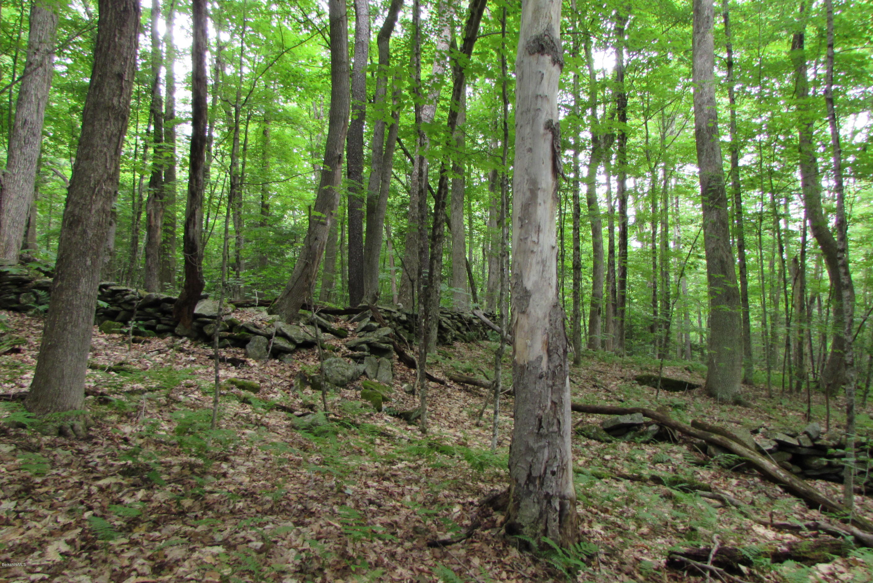 Washington Mountain Road Becket, MA 01223 - Photo 7 of 13 a view of backyard with green space