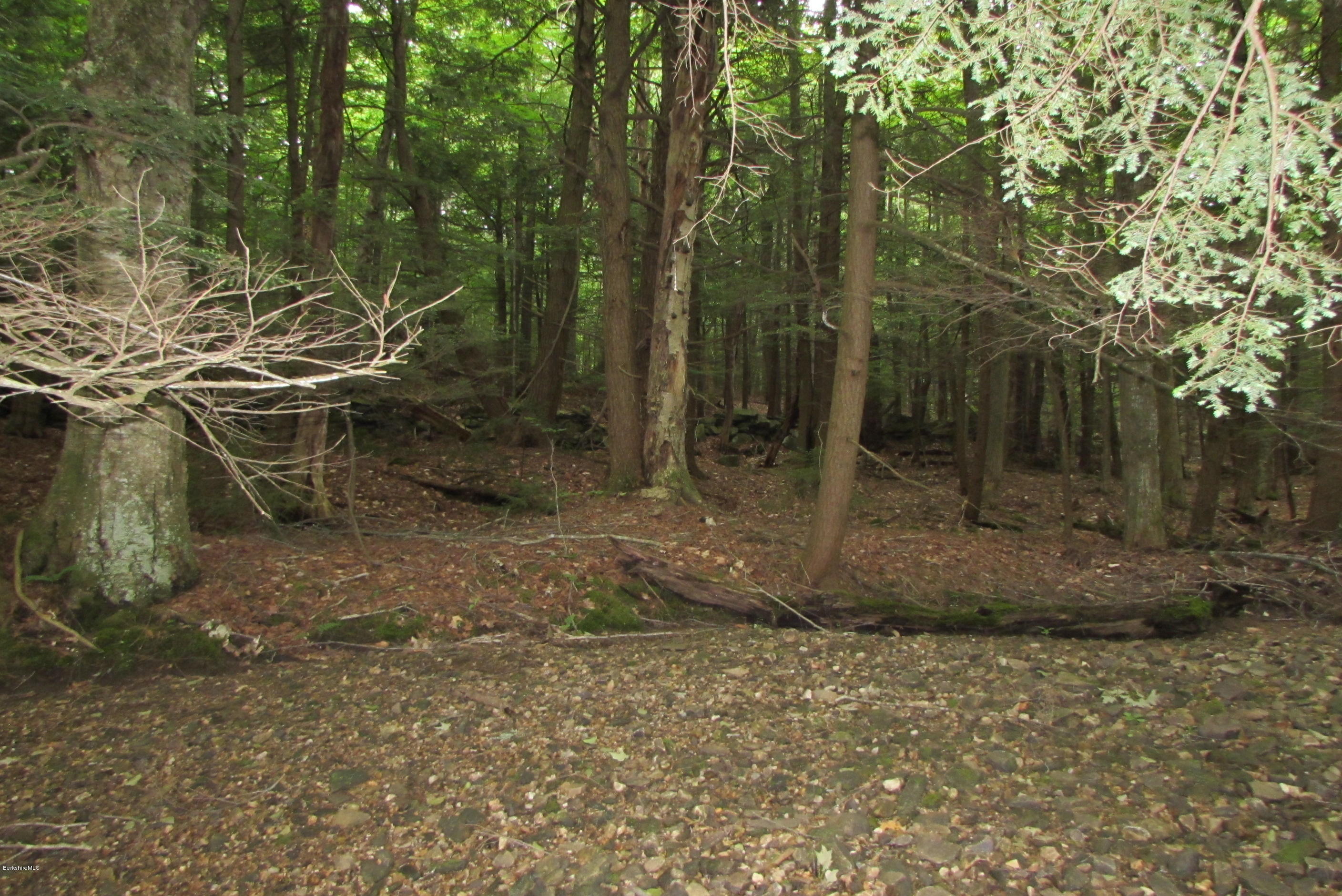 Washington Mountain Road Becket, MA 01223 - Photo 10 of 13 a view of a room with a tree